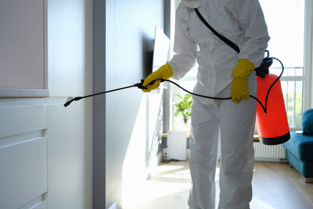 Best Professional Mold Removal  in Chesaning, MI