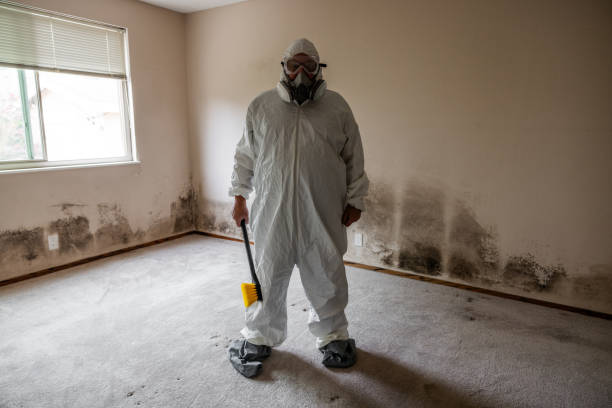Best Residential Mold Removal  in Chesaning, MI